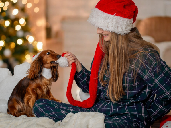 Świąteczne nastroje
