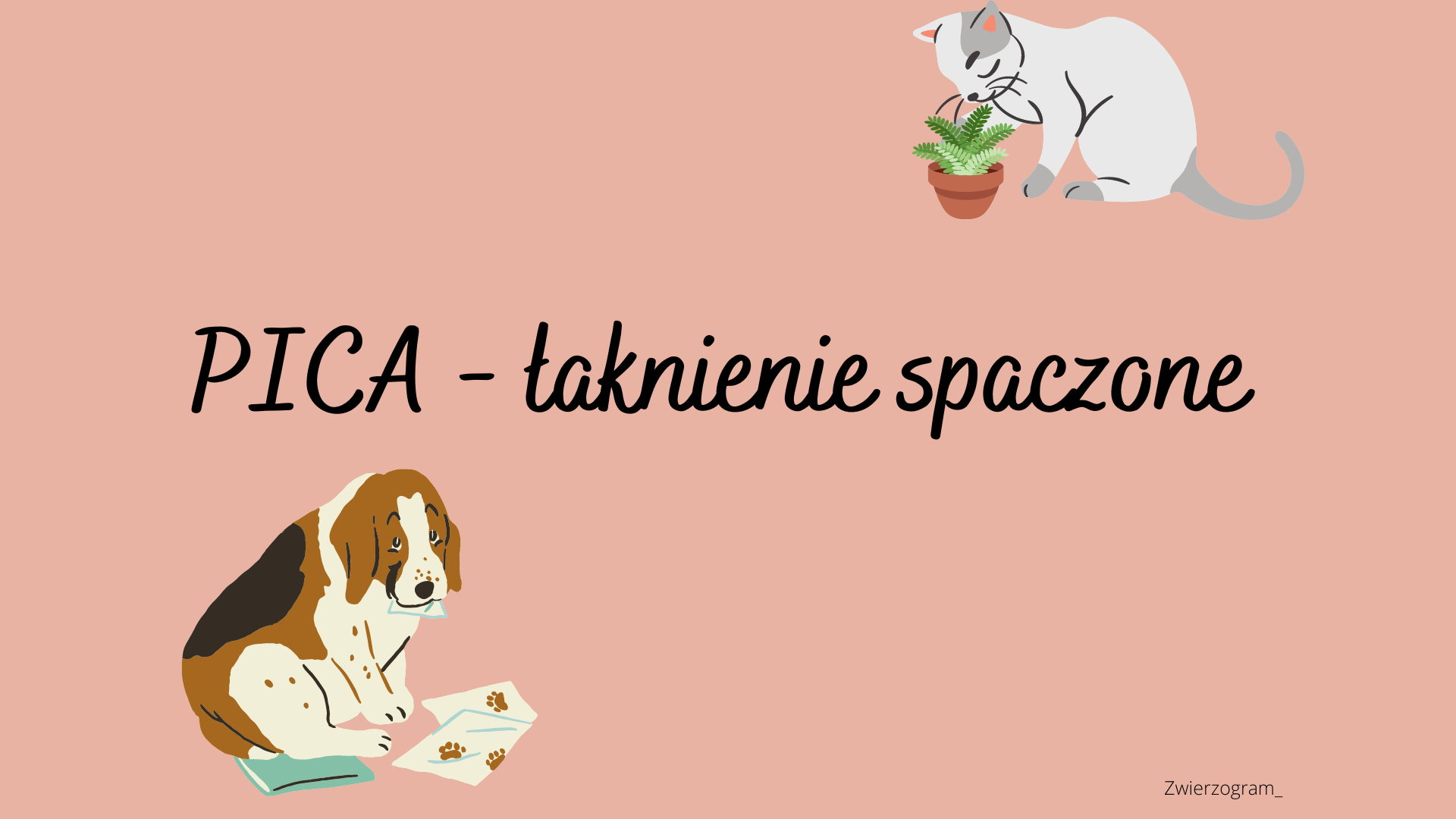 PICA – zaburzenia łaknienia