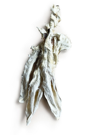 Ucho królika z futrem - 8 sztuk