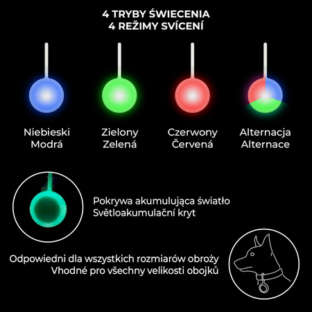 WAUDOG LED latarka dla psów, w sylikonowej obudowie
