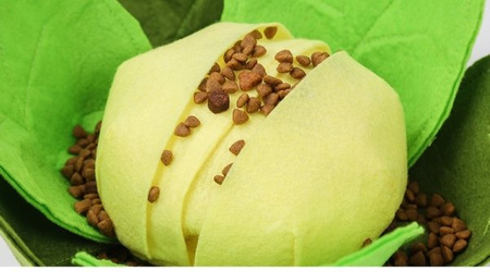 DOGLEMI KAPUSTA zabawka węchowa