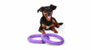 PULLER dla psa- dog fitness tool MAXI - 30 cm