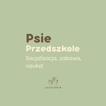 Psie Przedszkole