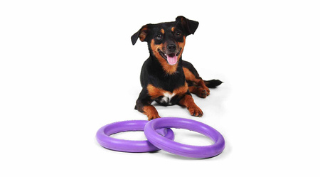 PULLER dla psa- dog fitness tool MAXI - 30 cm