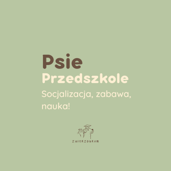 Psie Przedszkole 